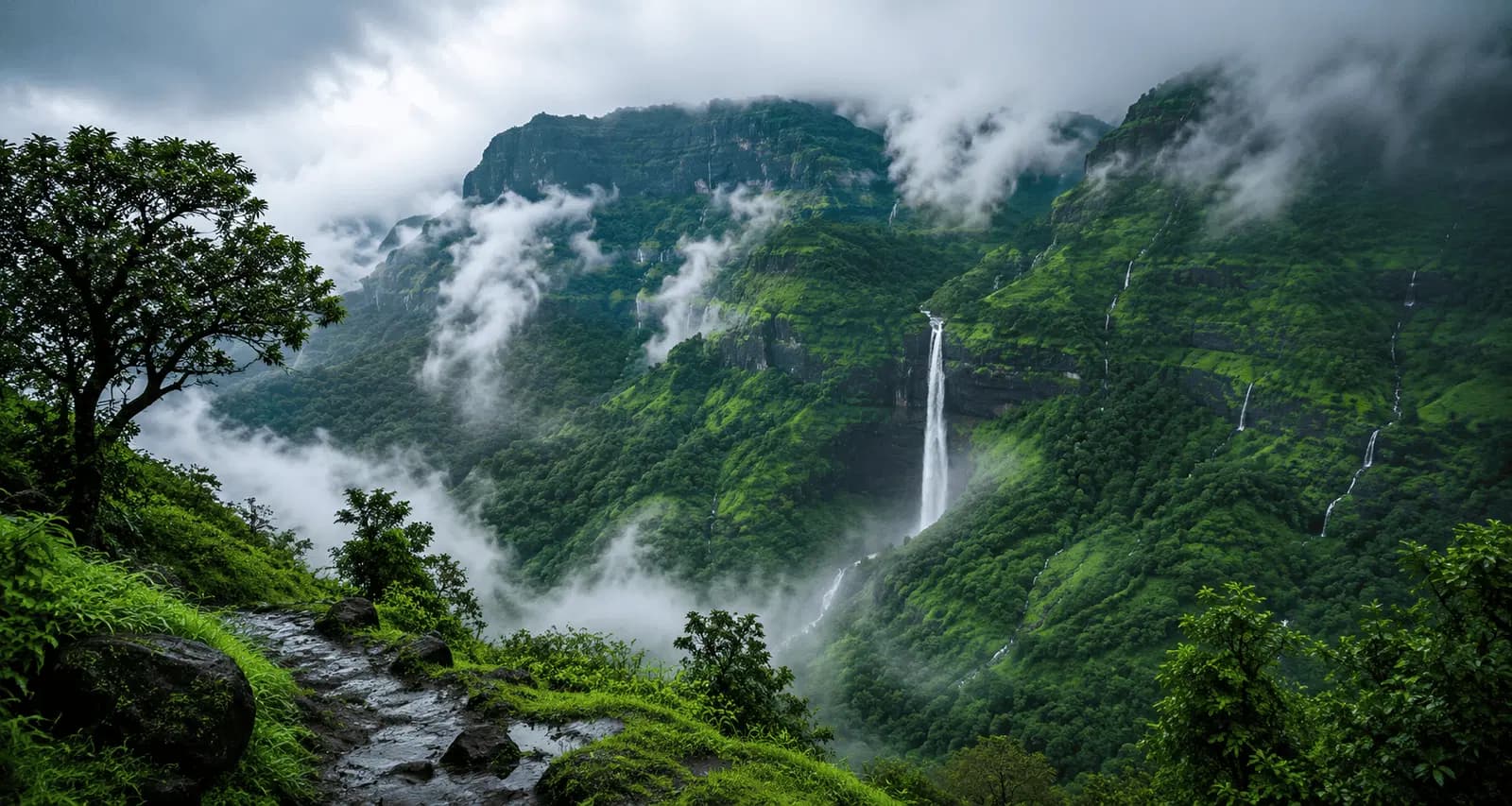 Aadrai Jungle Trek